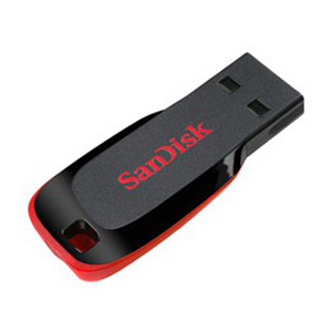  usb-flash drive /  32 SANDISK Cruzer Blade